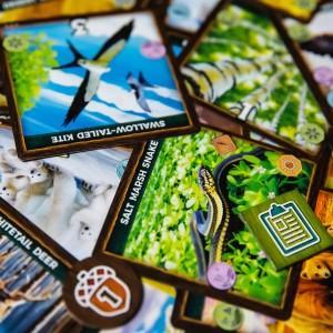 15222e5cc96a461096088fc301b301a4~tplv-o3syd03w52-origin-jpeg